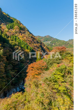 秘境!祖谷渓の紅葉 秘境!祖谷渓の紅葉 58685289