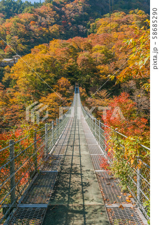 秘境!祖谷渓の紅葉 秘境!祖谷渓の紅葉 58685290