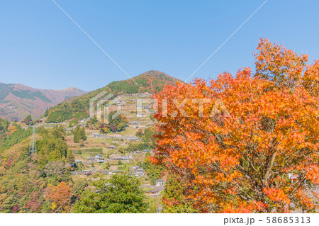 秘境！祖谷渓の紅葉 58685313