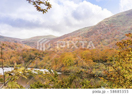 秋色 栗駒 須川湖の紅葉 秋色 栗駒 須川湖の紅葉 58685355