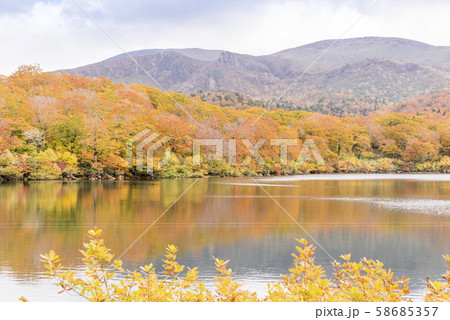 秋色　栗駒 須川湖の紅葉 58685357