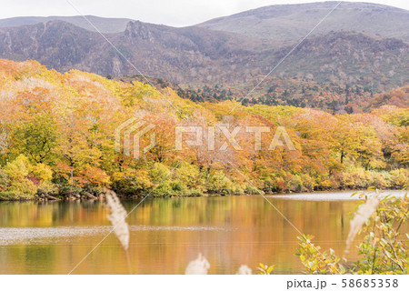 秋色　栗駒 須川湖の紅葉 58685358