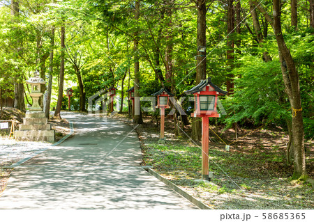 大原野神社参道 大原野神社参道 58685365