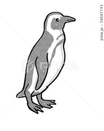 African Penguin Or Spheniscus Demersus Endangeredのイラスト素材