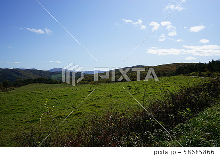 早坂高原の放牧場 58685866