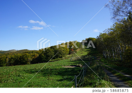 早坂高原の放牧場 58685875