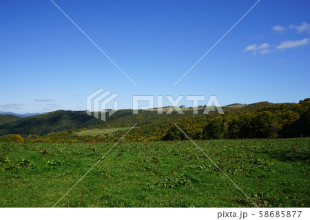 早坂高原の放牧場 58685877