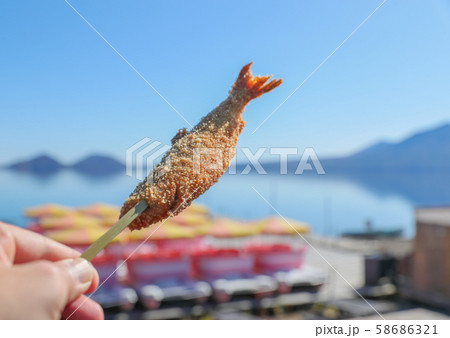 支笏湖　ヒメマスフライ 58686321