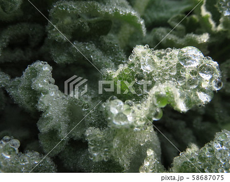 Faults with dew drops Faults with dew drops 58687075