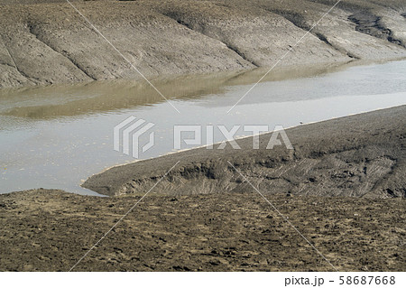 自然 韓国 生態公園 58687668