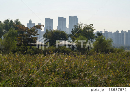 自然 韓国 生態公園 58687672