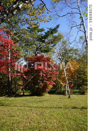 秋の早坂峠 秋の早坂峠 58688070