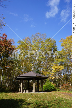 秋の早坂峠 58688075