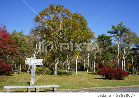 秋の早坂峠 58688077