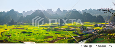 Panoramic view of Rapeseed flower field and villages at Wanfenglin  National Geological Park (Forest of Ten Thousands Peaks), China 58688175