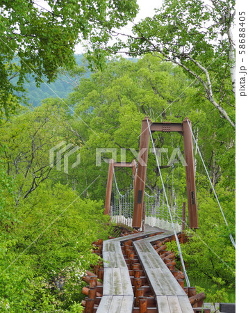 ヨッピ吊橋 58688405