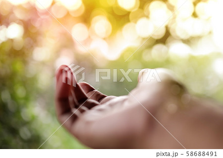 Life Concept. Opened Hand in front of the Natural 58688491