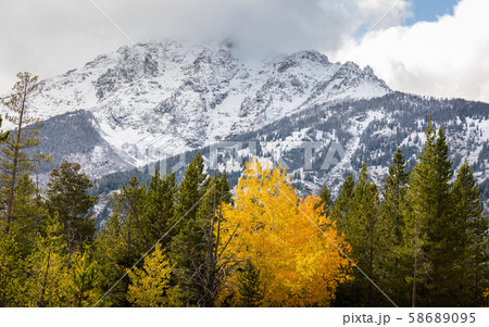 Mountain covered by snow and cloud in Grand Teton 58689095