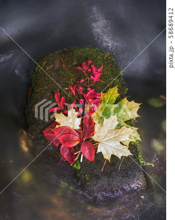 Fall bouquet of dry flowers and fallen leaves on 58689412