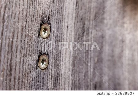 screws screwed in wood with wood shavings screws screwed in wood with wood shavings 58689907