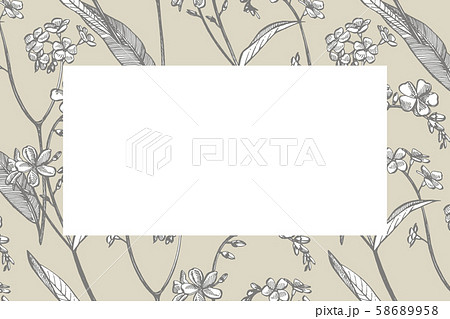 Collection of hand drawn flowers and plants. Botany. Set. Vintage flowers. Black and white Collection of hand drawn flowers and plants. Botany. Set. Vintage flowers. Black and white 58689958