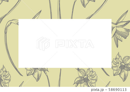 Collection of hand drawn flowers and plants. Botany. Set. Vintage flowers. Black and white 58690113