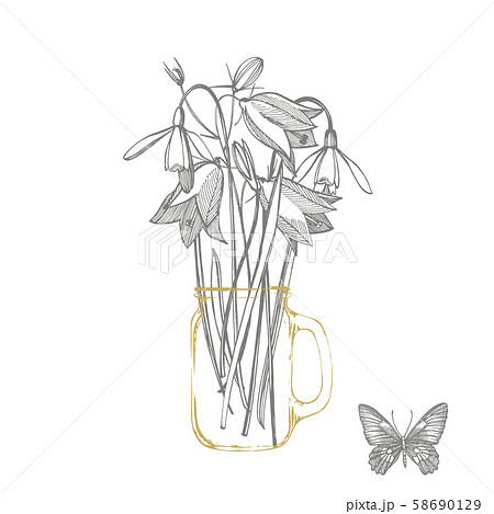 Bells and Snowdrops flowers. Bouquet of hand drawn flowers and herbs. Botanical plant illustration 58690129