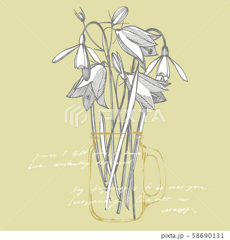 Bells and Snowdrops flowers. Bouquet of hand drawn flowers and herbs. Botanical plant illustration 58690131