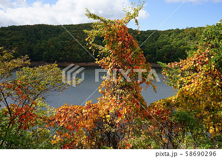 小本街道の紅葉 小本街道の紅葉 58690296
