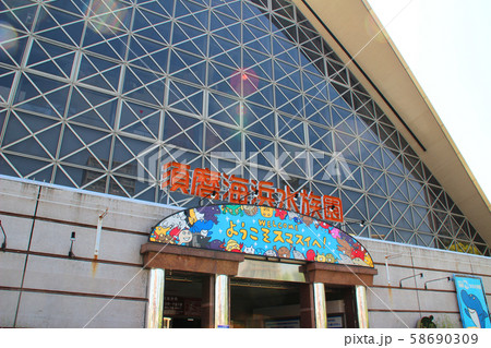 神戸市立須磨海浜水族園/兵庫県神戸市須磨区若宮町1丁目 58690309