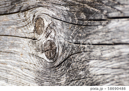 Old walnut tree trunk detail texture as natural background. Old walnut tree trunk detail texture as natural background. 58690486