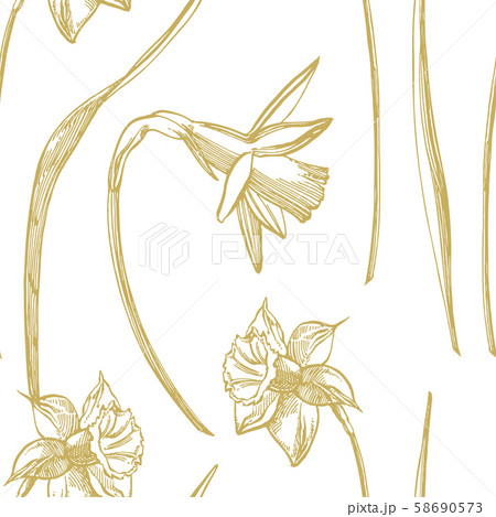Daffodil or Narcissus flower drawings. Collection of hand drawn black and white daffodil. Hand Drawn Daffodil or Narcissus flower drawings. Collection of hand drawn black and white daffodil. Hand Drawn 58690573