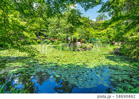 中の島 大原野神社鯉沢の池 中の島 大原野神社鯉沢の池 58690862
