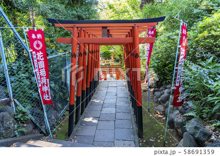【東京都】花園稲荷神社 鳥居 【東京都】花園稲荷神社 鳥居 58691359
