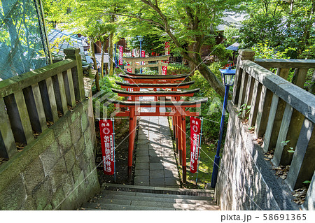【東京都】花園稲荷神社　鳥居 58691365