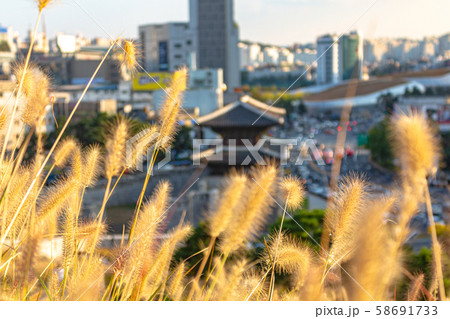 興仁之門 公園 東大門 58691733