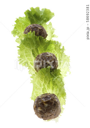 Fried cutlets and salad Fried cutlets and salad 58692381