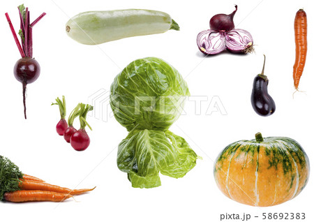 Fresh vegetable 58692383