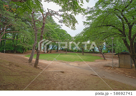 沼田城跡 捨曲輪跡 沼田城跡 捨曲輪跡 58692741