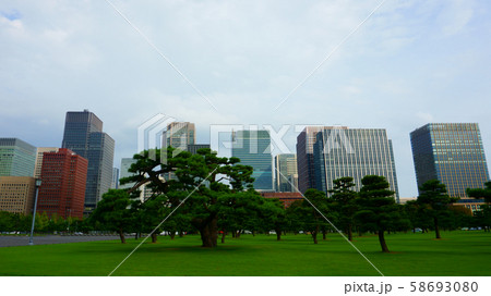 Pine trees and skyscrapers. High rise buildings in Chiyoda. Chiyoda-ku is a special ward located in central Tokyo Pine trees and skyscrapers. High rise buildings in Chiyoda. Chiyoda-ku is a special ward located in central Tokyo 58693080