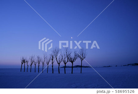 夜明け前 58695526