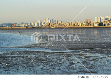 風景 自然 韓国 58696059