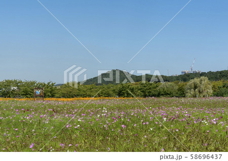 自然 風景 韓国 58696437