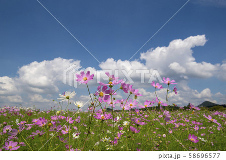 自然 風景 韓国 58696577