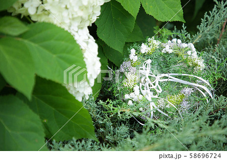 ウェディング　結婚指輪　ジューンブライド 58696724