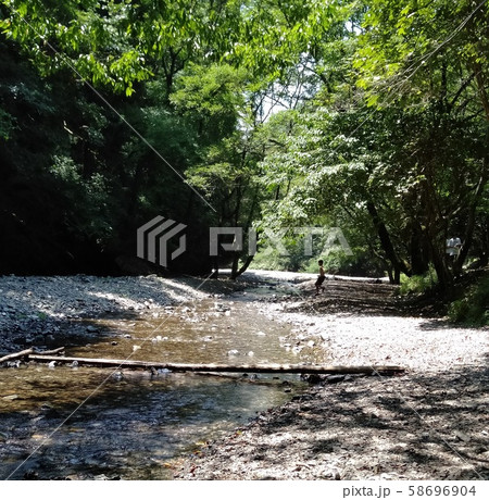 夏の川 58696904