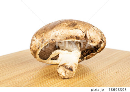 Fresh brown mushroom isolated on white Fresh brown mushroom isolated on white 58698393