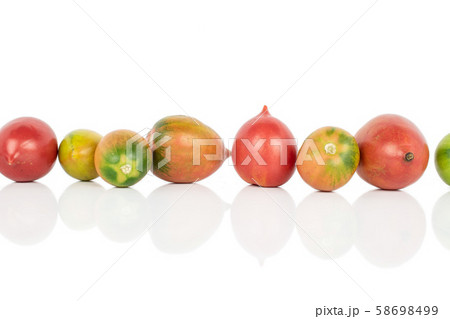 Fresh tomato de barao isolated on white Fresh tomato de barao isolated on white 58698499