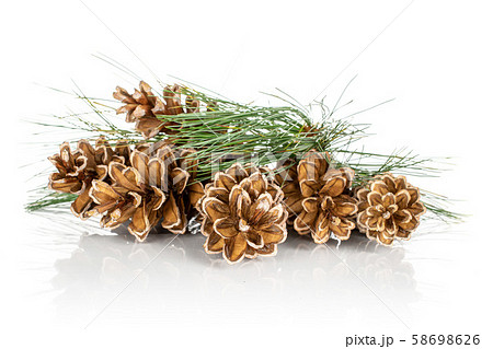 Brown forest pine cone isolated on white Brown forest pine cone isolated on white 58698626