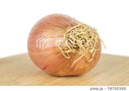 Fresh brown shallot isolated on white 58700369